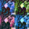 Go to the profile of Daniel Pietraszewski