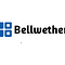 Go to the profile of Bellwether Software