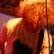 Go to the profile of Christoph Rüppel