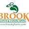 Go to the profile of Brook Plants