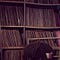 Go to the profile of MolloysMusic