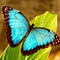 Go to the profile of Guuu