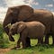 Go to the profile of Wildlife Watch