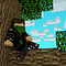 Go to the profile of Eli Silva