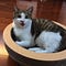 Go to the profile of Sushi He