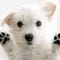 Go to the profile of Stephanie Zalinski