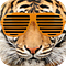 Go to the profile of After School
