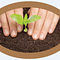 Go to the profile of Gardening Wiz
