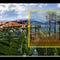Go to the profile of Las Vegas Real Estate