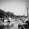 The View from the Creek