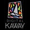 Go to the profile of Digital Kaway