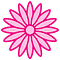 Hi. Stamen