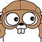 100 Days of Golang