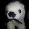Go to the profile of Polar Nightcap