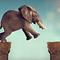 Leaping Africa