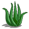 Go to the profile of AloesVera.co