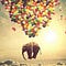 Go to the profile of Dream
