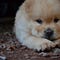 Go to the profile of Yoshihiro Fukiya