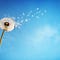 Ambiente y Desarrollo Sustentable