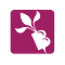 The Fresh Beet