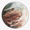 Go to the profile of Big Pink Rock