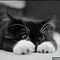 Go to the profile of Aperture of Thoughts