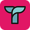 Team Tettra