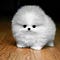 Go to the profile of andrew_wilson68