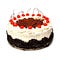YummyCakeDelhi