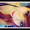 Go to the profile of Λshley