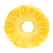 Pineapple Blog