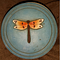 Go to the profile of Gemini Girl