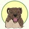 Go to the profile of Suzanne Matheson
