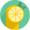The Lemon Scope