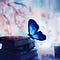 Go to the profile of Flutterfly