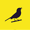 Go to the profile of CareerLark