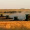 The Midwest Express