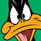 Go to the profile of Duffy Duck Poker