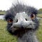 Go to the profile of pheckr