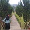 Go to the profile of Suroyya Lailatun Najjah