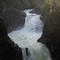 Go to the profile of Radagast