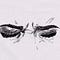 Go to the profile of Silmeria Koronuma