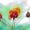 Meaning & Meaningfulness