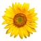 Go to the profile of Jalisa