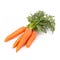 Healthy Seasonal Cooking