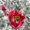 Go to the profile of Leigh Grant