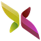 Go to the profile of Xlskoor