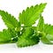 Go to the profile of Natural Treatment Pills