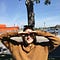 Go to the profile of Helene Fleischer