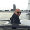 Go to the profile of Krzysztof Gibek